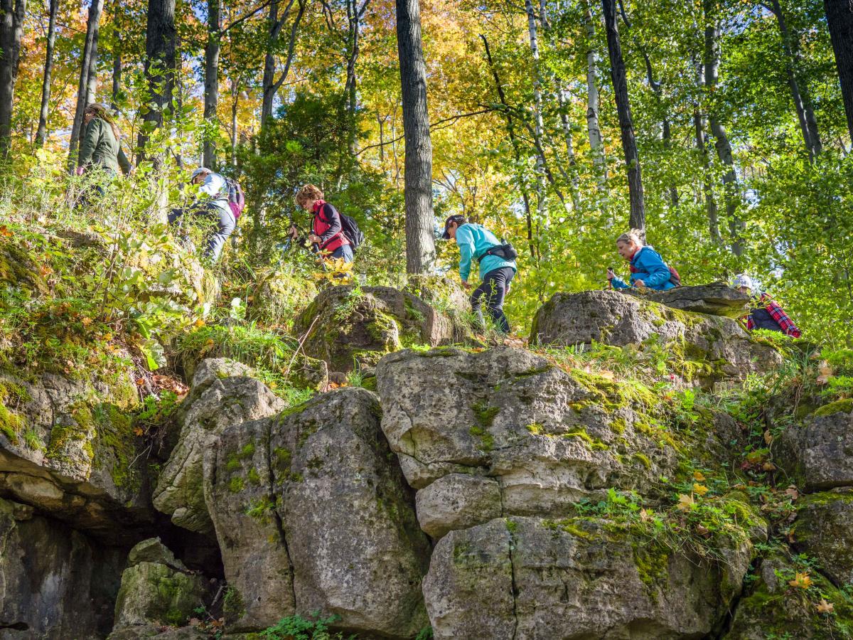 Group of hikers