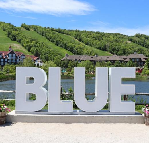 Blue sign with Blue Mountain summer scenery behind