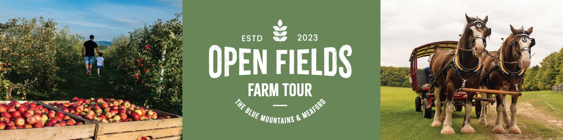 Open Fields 2025