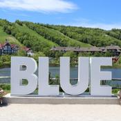 Blue sign with Blue Mountain summer scenery behind