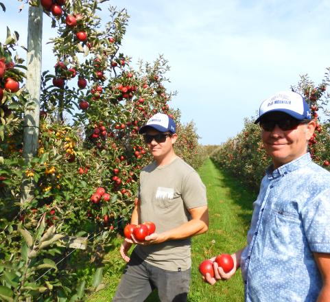 Gerbe and Marius in the apple orchard