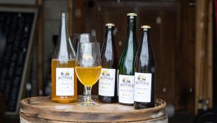 Cider Bottles on a Shelf
