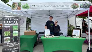 Collingwood Microgreens